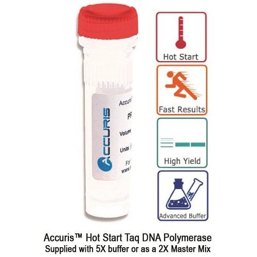 Benchmark Scientific - PR1000-HS-6000 - Accuris Hot Start Taq DNA Polymerase, 6000 Units