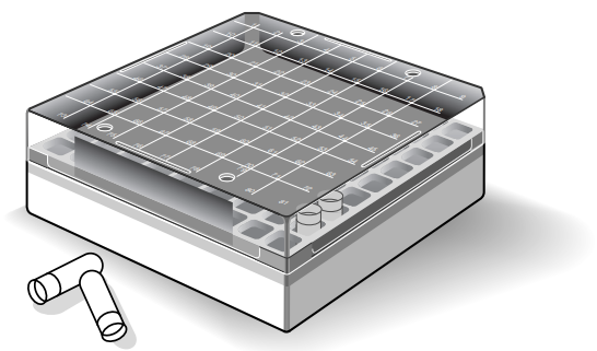 Custom Biogenic Systems - B2P81 - Polycarbonate Box, Including 81-Place Divider for Storing 1.2 & 2.0ml Vials, Temp Range -196°C
