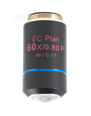 Motic Instruments - 1101001703981 - CCIS EC Plan Objective 60X (Strain-Free)