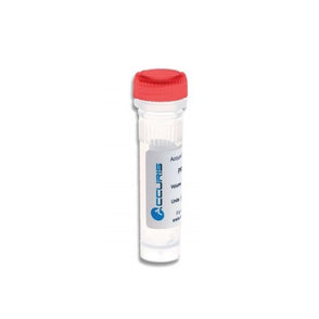 Benchmark Scientific - PR2001-L-100 - Accuris qMAX Probe, Low Rox qPCR Mix, 100 Reactions