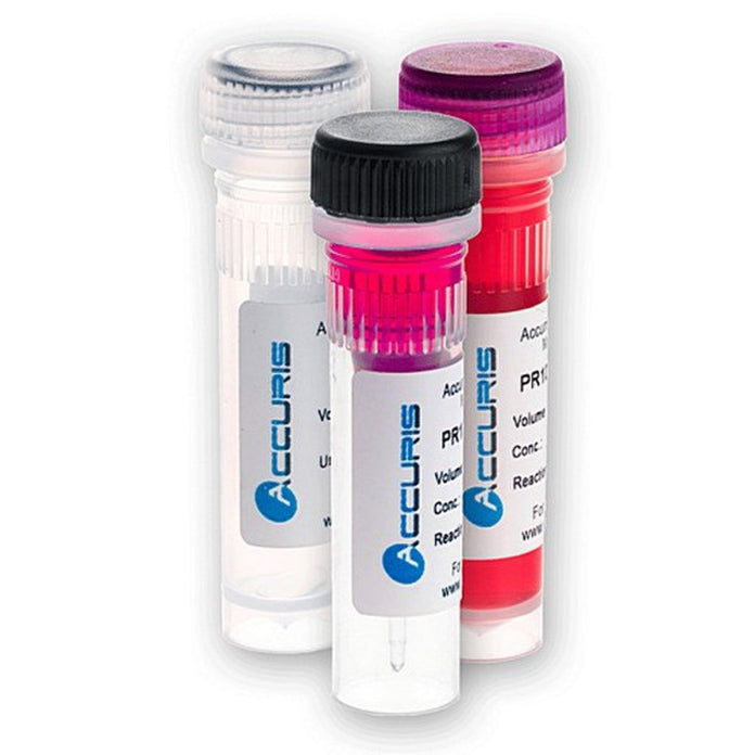 Benchmark Scientific - PR1000-HS-500 - Accuris Hot Start Taq DNA Polymerase, 500 Units