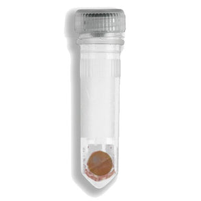 Benchmark Scientific - D1033-30G - Prefilled 2ml Tubes, Garnet Shards and One 6mm Zirconium Bead, 50pk