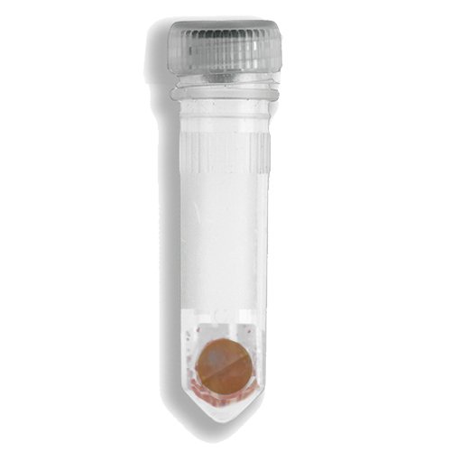 Benchmark Scientific - D1033-30G - Prefilled 2ml Tubes, Garnet Shards and One 6mm Zirconium Bead, 50pk