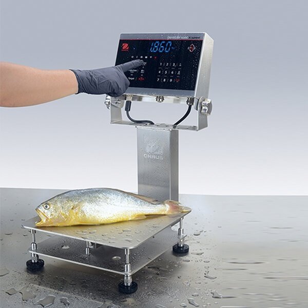 Ohaus - 30575563 - Defender™ 6000 Washdown Bench Scale i-D61XWE5K1S6