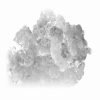 Hoshizaki - F-500BAJ - Flaker Icemaker, Air-cooled, Built in Storage Bin