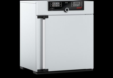 Memmert - IF 110 Plus, 115V - Forced Circulation Incubator