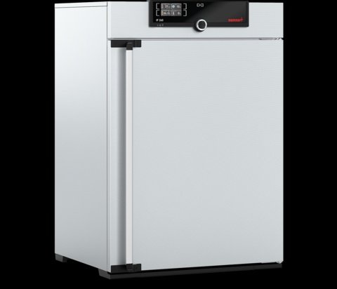 Memmert - IF 260, 230V - Forced Circulation Incubator