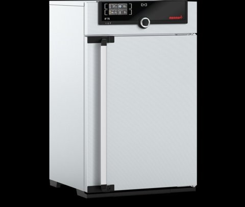 Memmert - IF 75, 230V - Forced Circulation Incubator