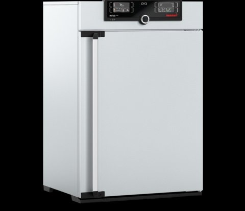 Memmert - IN 160 Plus, 115V - Natural Convection Incubator