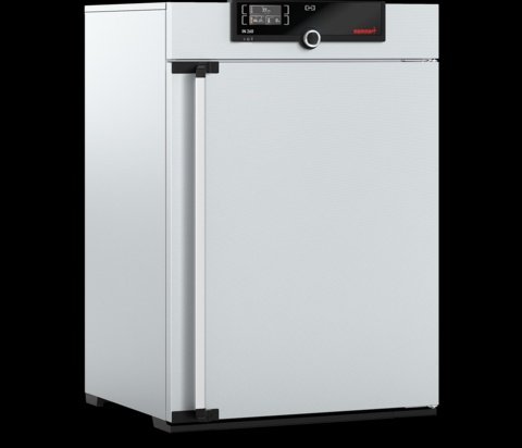 Memmert - IN 260, 230V - Natural Convection Incubator