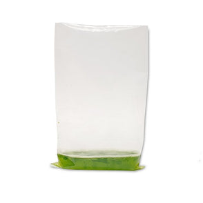Benchmark Scientific - IPD4400-B400 - 400mlx60µM, 300x180mm Blender Bag, Pack of 500 (10 Pack of 50)