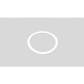 Benchmark Scientific - IPD9600-25G - Gasket for Stainless Steel 25ml Jar