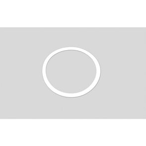 Benchmark Scientific - IPD9600-50G - Gasket for 50ml Stainless Steel Jar