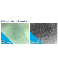 Benchmark Scientific - H3565-GROUP - SureTherm™ CO2 Incubator Series with IncuView™ LCI