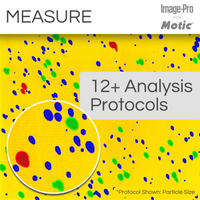 Motic Instruments - MB-SW-MA-PROU - Motic Analysis Professional Upgrade 64-Bit for Basic & Standard