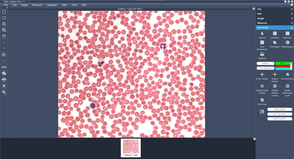 Motic Instruments - 1101001503681 - Motic Images Advanced 3.1 (PC Only)