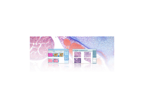 Motic Instruments - 1101008506521 - 8 Student License