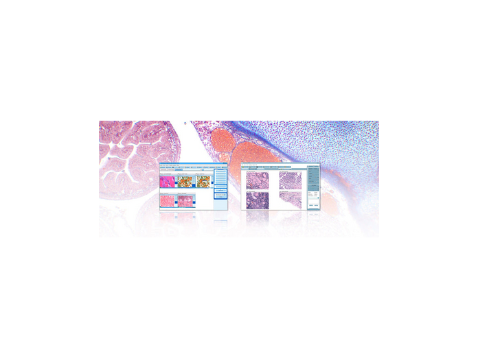 Motic Instruments - 1101008506521 - 8 Student License