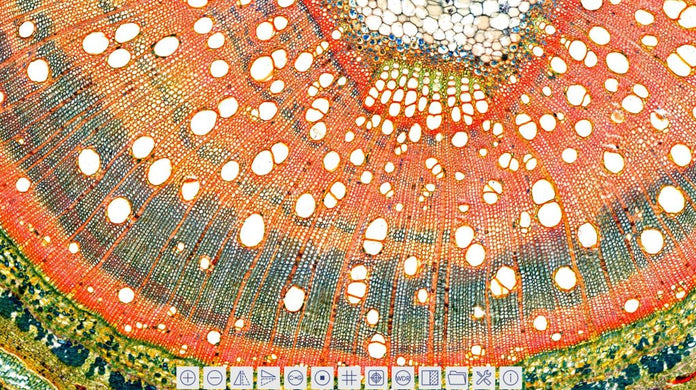 Motic Instruments - 1100600101641 - Moticam 4000X