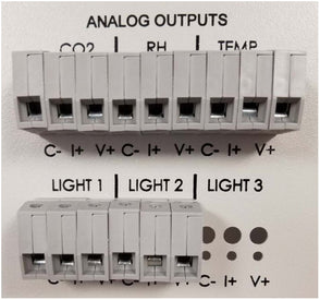Caron - OUTP307 - Universal Analog Output, Five Connections for 7310 Series