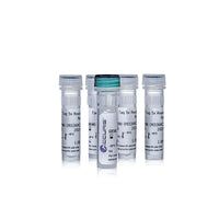 Benchmark Scientific - PR1000-500 - AccurisTaq DNA Polymerase, 500 Units