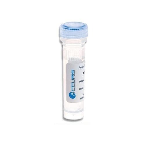 Benchmark Scientific - PR1000-6000 - Accuris Taq DNA Polymerase, 6000 Units