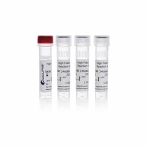 Benchmark Scientific - PR1000-HF-200 - Accuris High Fidelity DNA Polymerase, 200 Units