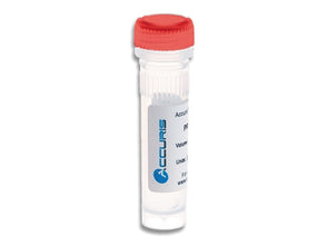 Benchmark Scientific - PR1001-R-1000 - Accuris 2x Taq Red Dye Master Mix, 1000x50µl Reactions