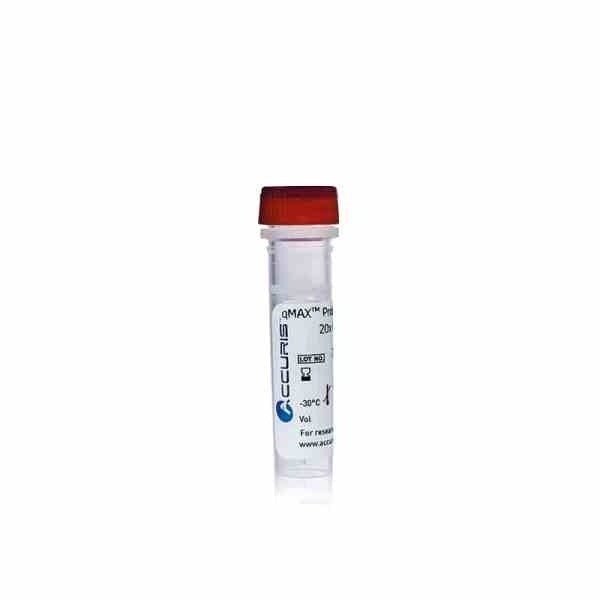 Benchmark Scientific - PR2001-N-1000 - Accuris qMAX Probe, No Rox qPCR Mix, 1000 Reactions