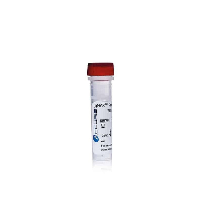 Benchmark Scientific - PR2001-N-S - Accuris qMAX Probe, No Rox qPCR Mix, Sample
