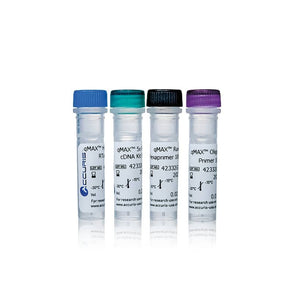 Benchmark Scientific - PR2110-50 - Accuris qMAX First Strand cDNA Synthesis Flex Kit, 50 Reactions