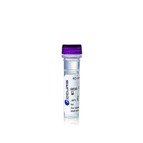 Benchmark Scientific - PR3040-M-4 - Accuris 40mm dNTP Mix, 2ml