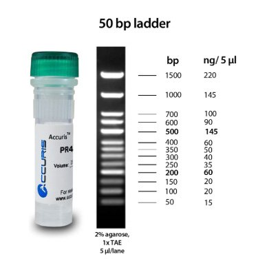 Benchmark Scientific - PR4005-500 - Accuris SmartCheck™ 50bp DNA Ladder