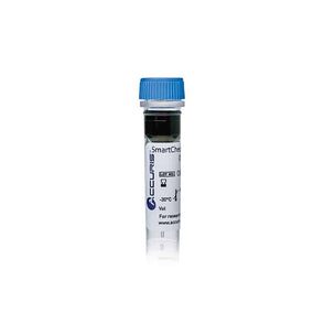 Benchmark Scientific - PR4010-100 - Accuris SmartCheck™ 100bp DNA Ladder
