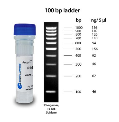 Benchmark Scientific - PR4010-500 - Accuris SmartCheck™ 100bp DNA Ladder