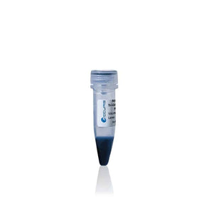 Benchmark Scientific - PR5013-TC - SmartCheck™ Tri-color Extended Range Plus Protein Marker