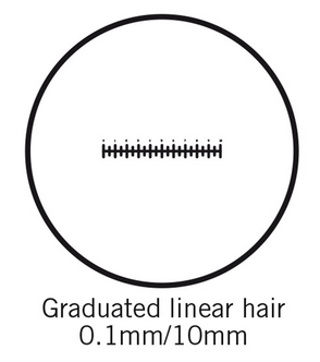 Motic Instruments - 1101001402941 - Graduated Linear Line