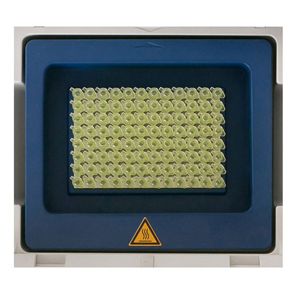 Benchmark Scientific - T5000-GROUP - TC 9639 Gradient Thermal Cycler