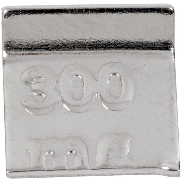 Ohaus - 30390564 - ASTM Individual Scale Calibration Weight 1P TEST Flat 300mg CL6 No Cert TR
