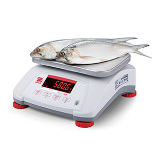 Ohaus - 30035434 - Valor™ 4000 Compact Scale, V41PWE1501T AM