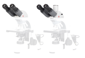Motic Instruments - 1101001901231 - Ergo Plus Head (without Eyepiece)