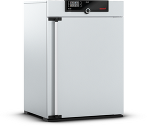 Memmert - IF 260, 230V - Forced Circulation Incubator
