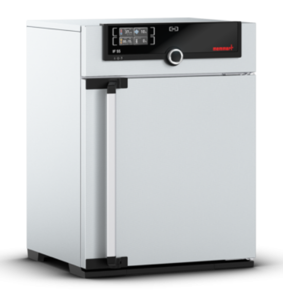 Memmert - IF 55, 230V - Forced Circulation Incubator