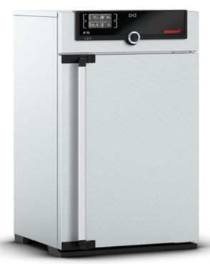 Memmert - IF 75, 230V - Forced Circulation Incubator