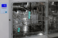 Being - BH151120U - Natural Convection Incubator