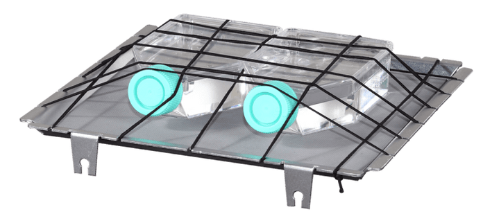 Being - P30007 - Cell Culture Spring Rack 250mm x 250mm