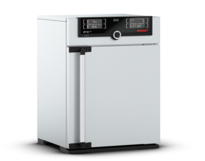 Memmert - IF 160 Plus, 230V - Forced Circulation Incubator
